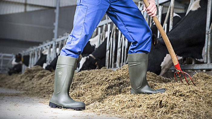 Why dairy farmers need the best boots